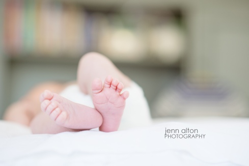 Newborn baby feet photography